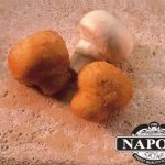 BREADED MUSHROOMS WAHOO 6/2LB